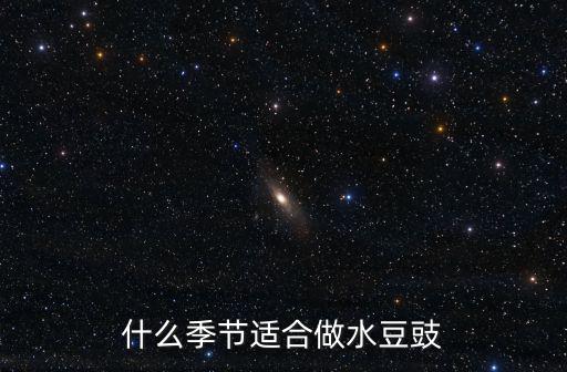 什么季節適合做水豆豉