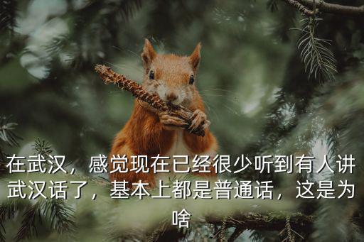 在武漢，感覺現在已經很少聽到有人講武漢話了，基本上都是普通話，這是為啥
