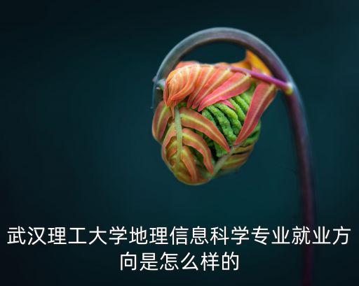 武漢理工大學(xué)地理信息科學(xué)專業(yè)就業(yè)方向是怎么樣的