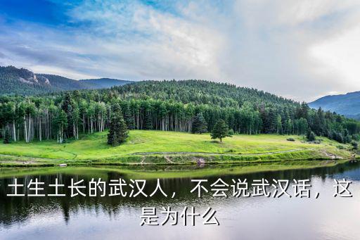 土生土長的武漢人，不會說武漢話，這是為什么