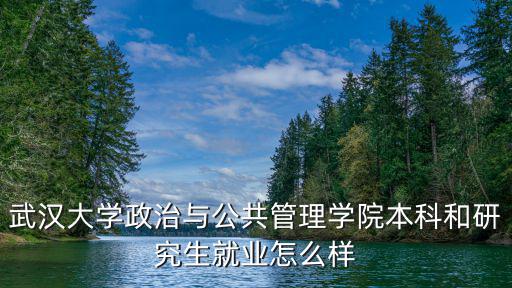武漢大學(xué)政治與公共管理學(xué)院本科和研究生就業(yè)怎么樣
