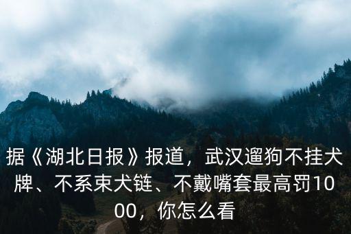 據《湖北日報》報道，武漢遛狗不掛犬牌、不系束犬鏈、不戴嘴套最高罰1000，你怎么看