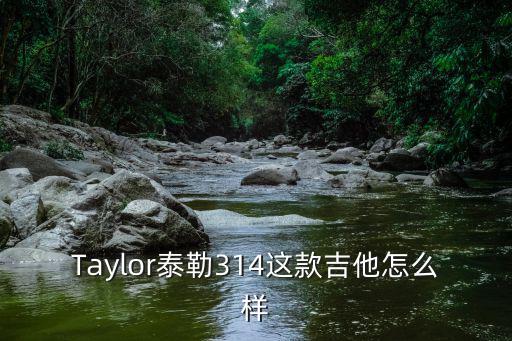 Taylor泰勒314這款吉他怎么樣