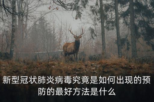 武漢是怎么的新型冠狀病毒的,新型冠狀病毒是怎么產生的