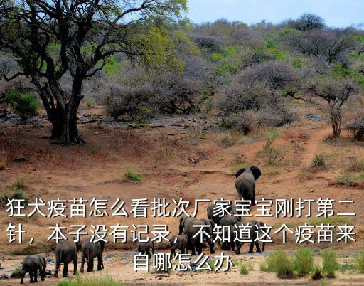 狂犬疫苗怎么看批次廠家寶寶剛打第二針，本子沒有記錄，不知道這個疫苗來自哪怎么辦