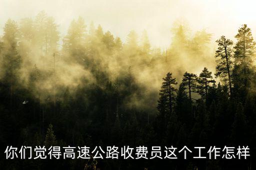 你們覺(jué)得高速公路收費(fèi)員這個(gè)工作怎樣