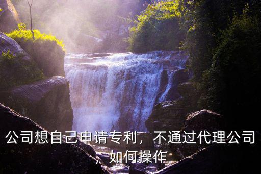 公司想自己申請專利，不通過代理公司，如何操作