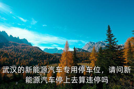 武漢的新能源汽車專用停車位，請(qǐng)問(wèn)新能源汽車停上去算違停嗎