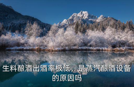 生料釀酒出酒率極低，是蒸汽釀酒設(shè)備的原因嗎