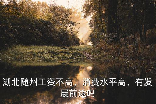 湖北隨州工資不高，消費(fèi)水平高，有發(fā)展前途嗎