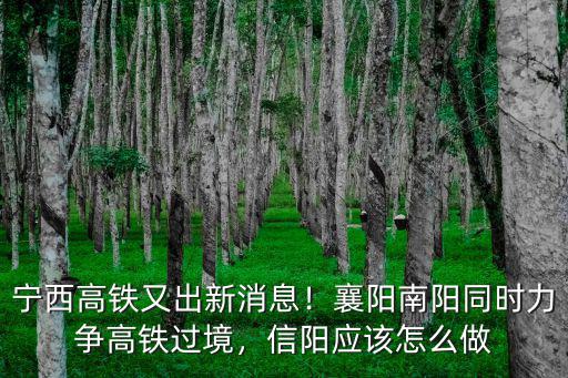 寧西高鐵又出新消息！襄陽南陽同時力爭高鐵過境，信陽應該怎么做
