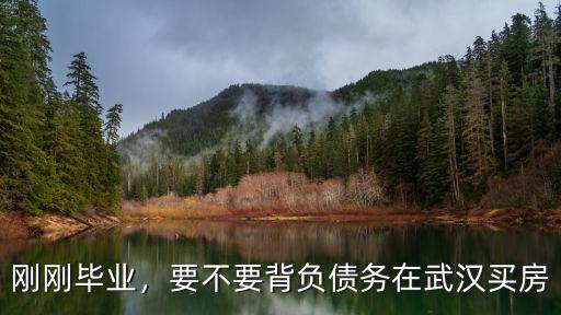 剛剛畢業，要不要背負債務在武漢買房