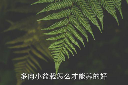 多肉小盆栽怎么才能養的好