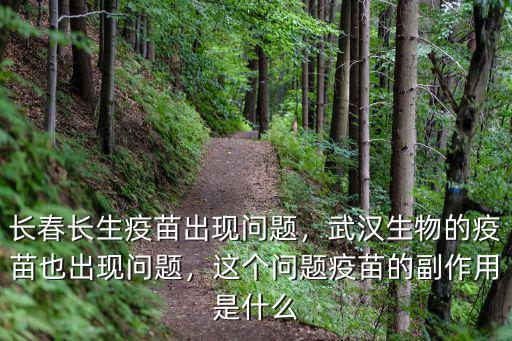 長春長生疫苗出現(xiàn)問題，武漢生物的疫苗也出現(xiàn)問題，這個問題疫苗的副作用是什么