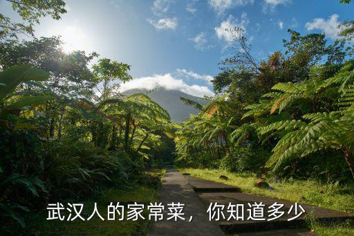 武漢人的家常菜，你知道多少