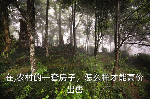 在,農(nóng)村的一套房子，怎么樣才能高價出售