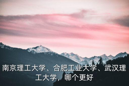 武漢理工大學馬克思怎么樣,武漢理工大學