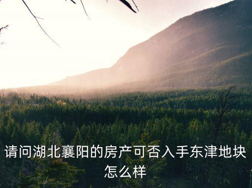 襄陽東津世界城的房子怎么樣,東津地塊怎么樣