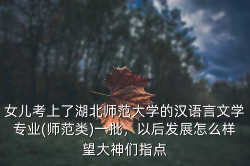小雨兒老師是湖北師范大學藝術系怎么樣,內蒙古師范大學怎么樣