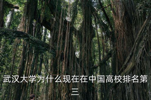 武漢大學(xué)為什么現(xiàn)在在中國(guó)高校排名第三