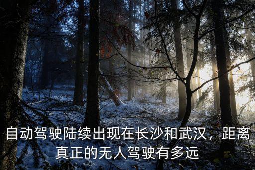 武漢無人駕駛車怎么樣,無人駕駛汽車