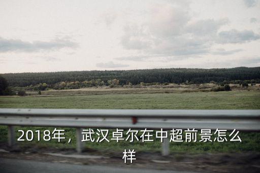 湖北卓爾集團(tuán)怎么樣,武漢卓爾在中超前景怎么樣