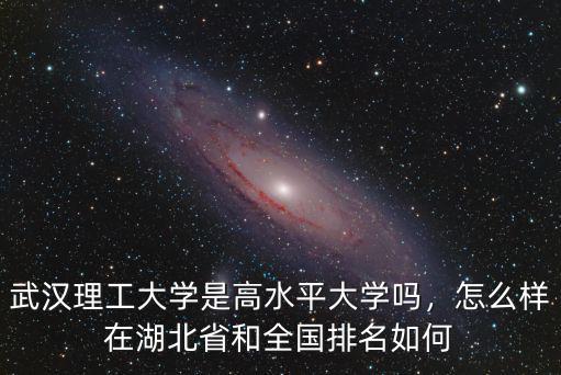 武漢理工大學楊青怎么樣,武漢理工大學口碑怎么樣