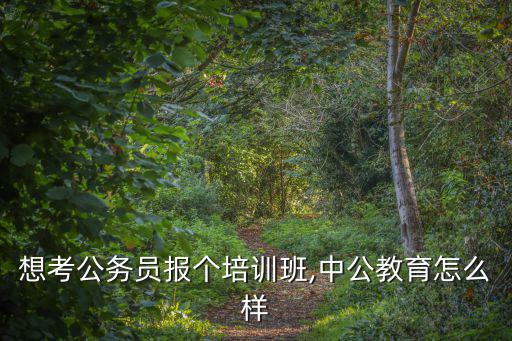 想考公務(wù)員報(bào)個(gè)培訓(xùn)班,中公教育怎么樣