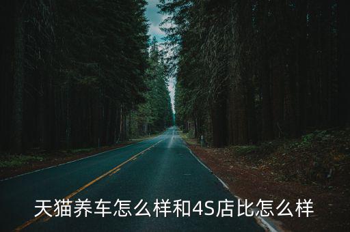天貓養(yǎng)車怎么樣和4S店比怎么樣