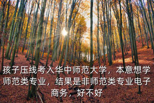 孩子壓線考入華中師范大學，本意想學師范類專業，結果是非師范類專業電子商務，好不好