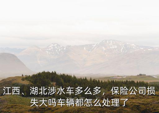 江西、湖北涉水車多么多，保險公司損失大嗎車輛都怎么處理了