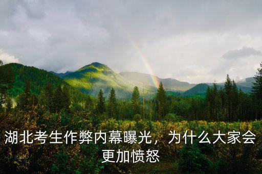 湖北考生作弊內幕曝光，為什么大家會更加憤怒