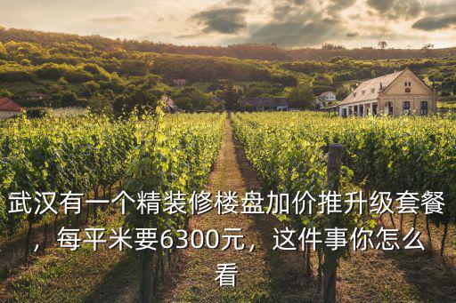 武漢有一個精裝修樓盤加價推升級套餐，每平米要6300元，這件事你怎么看