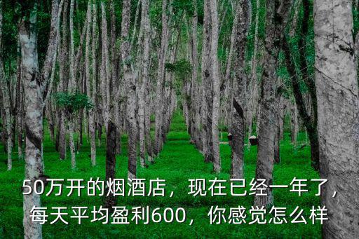 現(xiàn)在在十堰開煙酒店怎么樣,在鄉(xiāng)鎮(zhèn)開個(gè)煙酒店怎么樣