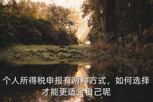 個人所得稅申報有兩種方式，如何選擇才能更適合自己呢