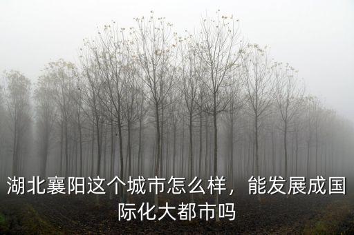 湖北宜城發展怎么樣,湖北襄陽這個城市怎么樣