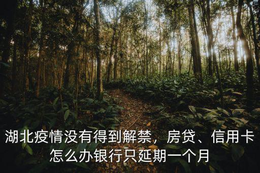 湖北因為隔離延期還房貸怎么辦,房貸還不起了怎么辦