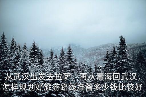 從武漢出發去拉薩，再從青海回武漢，怎樣規劃好旅游路線準備多少錢比較好