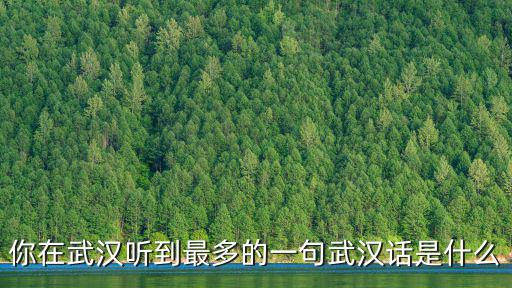 你在武漢聽(tīng)到最多的一句武漢話是什么