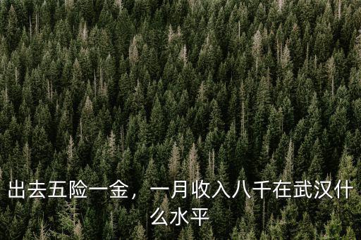 出去五險一金，一月收入八千在武漢什么水平