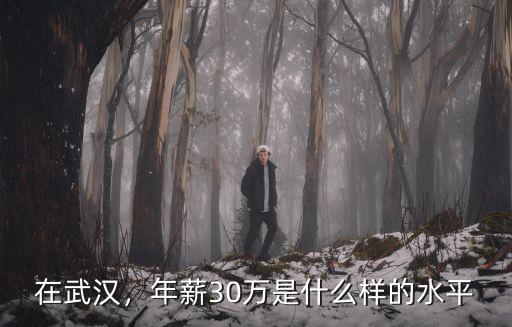 武漢陳圖璜醫(yī)療水平怎么樣,武漢的醫(yī)療水平怎么樣