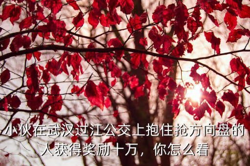 小伙在武漢過(guò)江公交上抱住搶方向盤的人獲得獎(jiǎng)勵(lì)十萬(wàn)，你怎么看