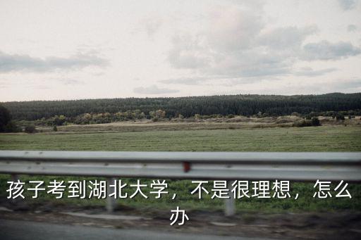 孩子考到湖北大學，不是很理想，怎么辦