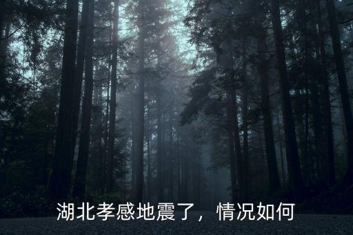 湖北孝感地震了，情況如何