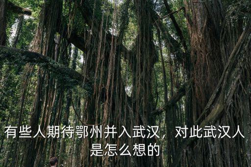 有些人期待鄂州并入武漢，對此武漢人是怎么想的