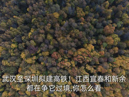 武漢高鐵怎么賺錢,武漢至深圳擬建高鐵