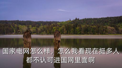 國家電網(wǎng)湖北怎么進(jìn)不去,國家電網(wǎng)怎么樣