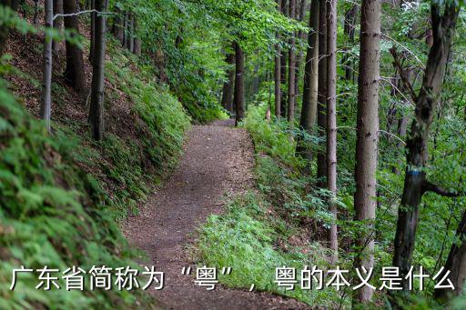 廣東省簡稱為“粵”，粵的本義是什么