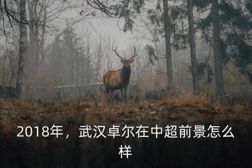武漢卓爾謨教育怎么樣,武漢卓爾在中超前景怎么樣