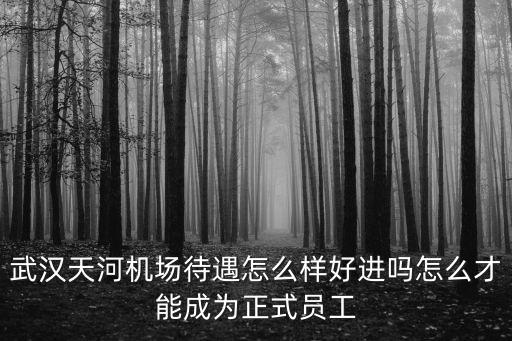 武漢天河機場待遇怎么樣好進嗎怎么才能成為正式員工